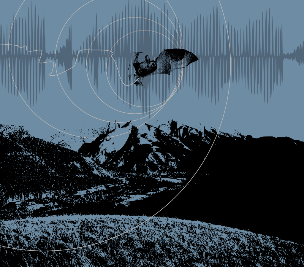 Music for Nature Documentaries - split release debut
